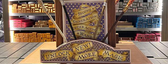 white rose villas homeowner viewpoint pauline visit to universal EPIC adventure harry potter ministry of magic exclusive merch at EPIC